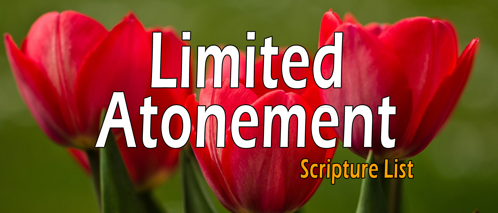 Limited Atonement, Definite Redemption - Scripture List & Case