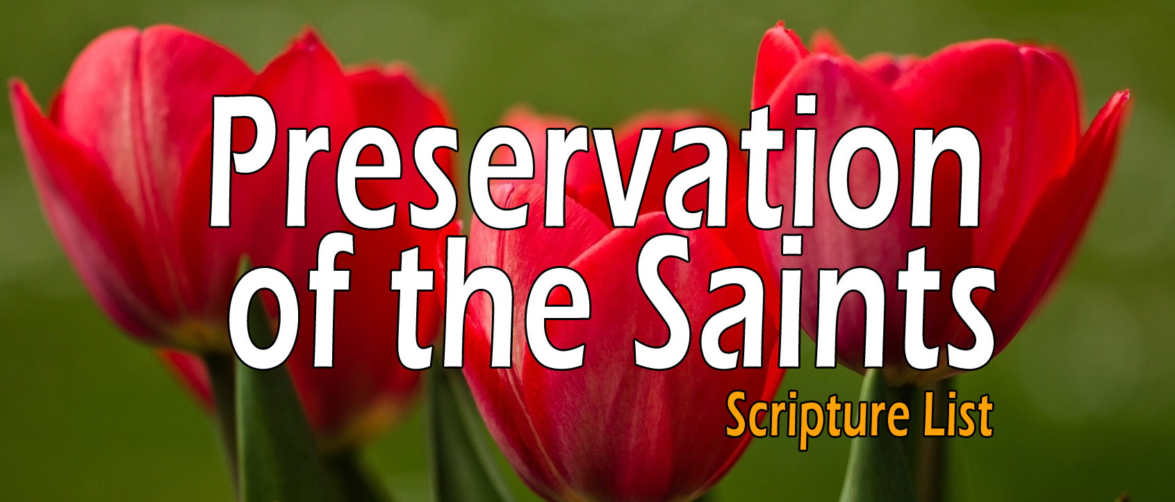 Preservation of the Saints - Scripture List